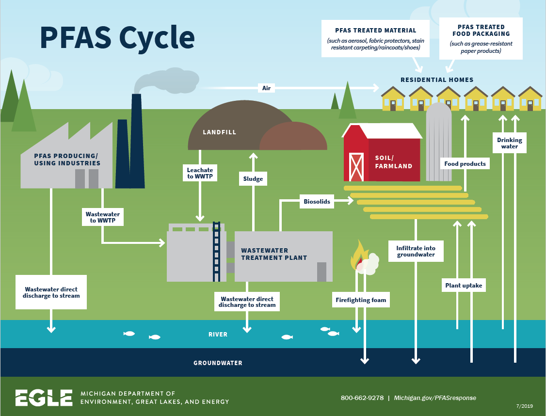 how PFAS accumulates in the environment