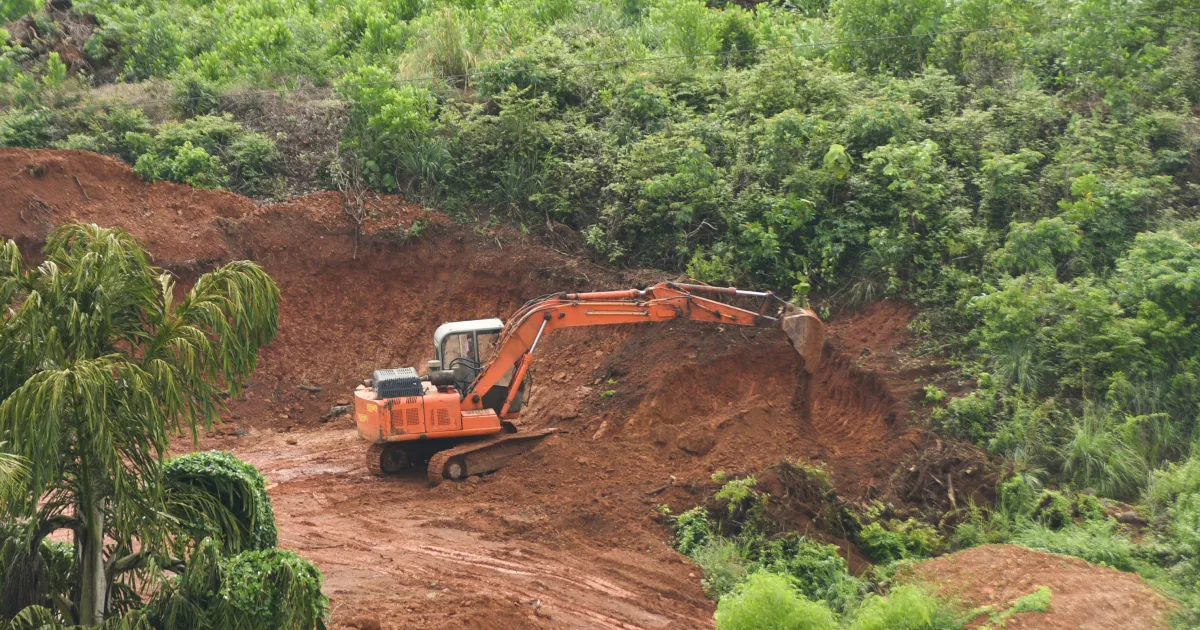 An image showing deforestation