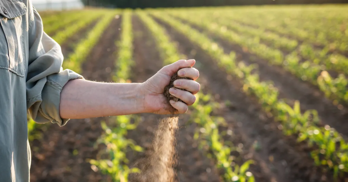 A man showing dry soil for crops representing how climate change will impact supply chains in 2024.